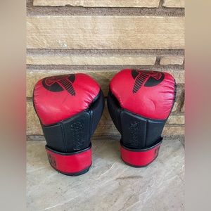 Hayabusa Tokushu Regenesis Boxing Gloves